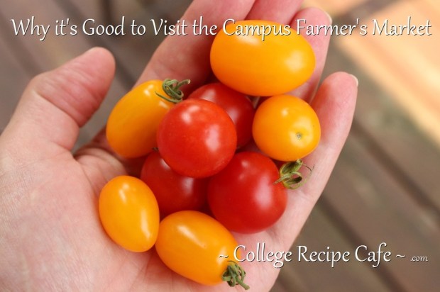 3 Reason Why You Should Visit Your Campus Farmer's Market