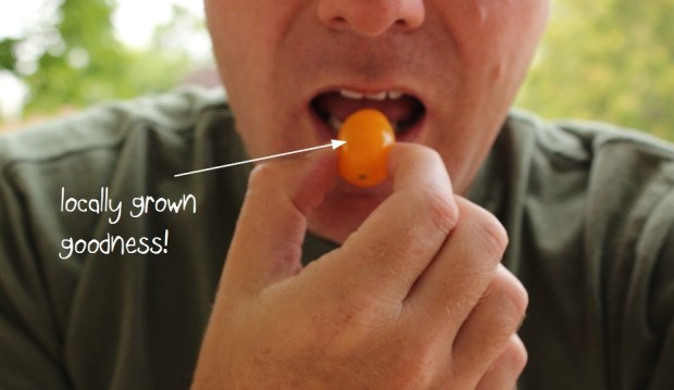 Locally Grown Goodness from Campus Farmer's Market