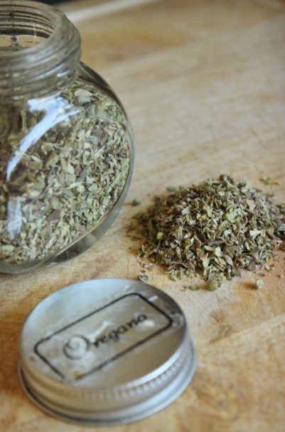 6 Versatile Herbs and Spices to Keep on Hand at College