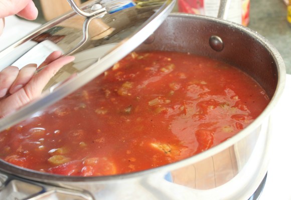 Chicken Tortilla Soup_Cover and Simmer